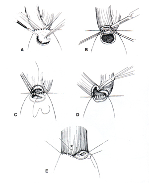 [Illustration:  Figure 9]