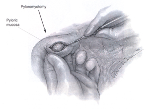 [Illustration:  Figure 3]