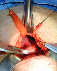 [Illustration:  Figure 7]