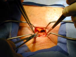 [Illustration:  Figure 3]