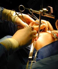 [Illustration:  Figure 8]