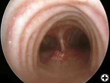 View Figure 3C larger