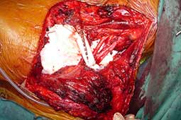 View Figure 5 larger