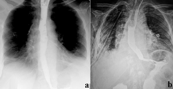 View Figure 3ab larger