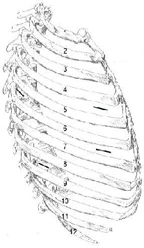 View Figure 4 larger