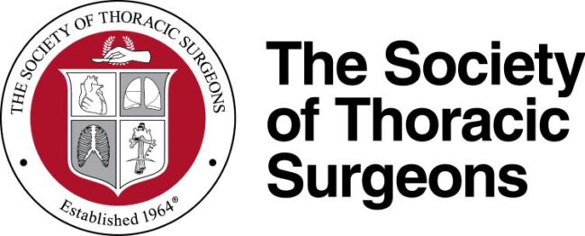 STS Logo Lockup _RGB org page