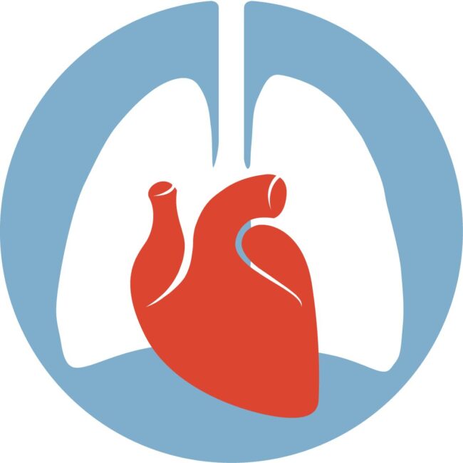CTSNet-Logo-Cropped_46_7
