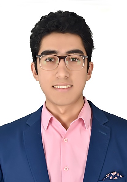 Ahmed K. Awad