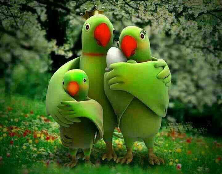 Vishwanath Belavi