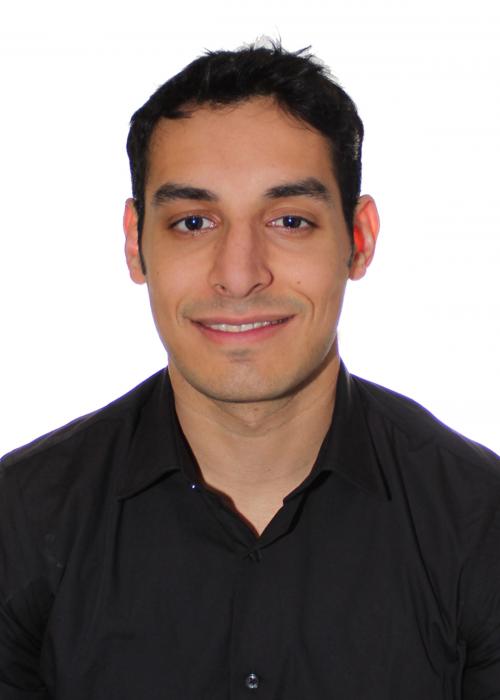 Syed M. Hassan