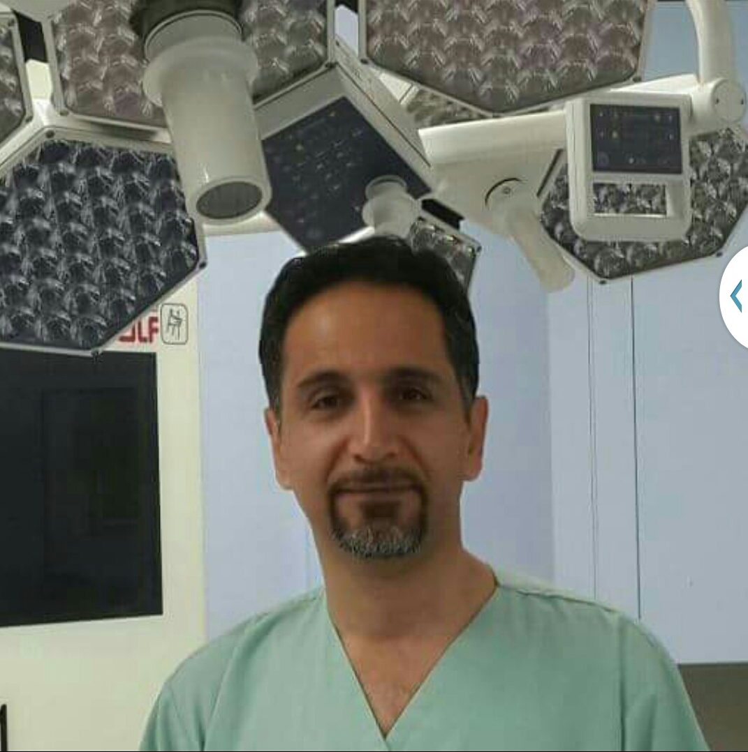 Seyed Hamid Hemmati