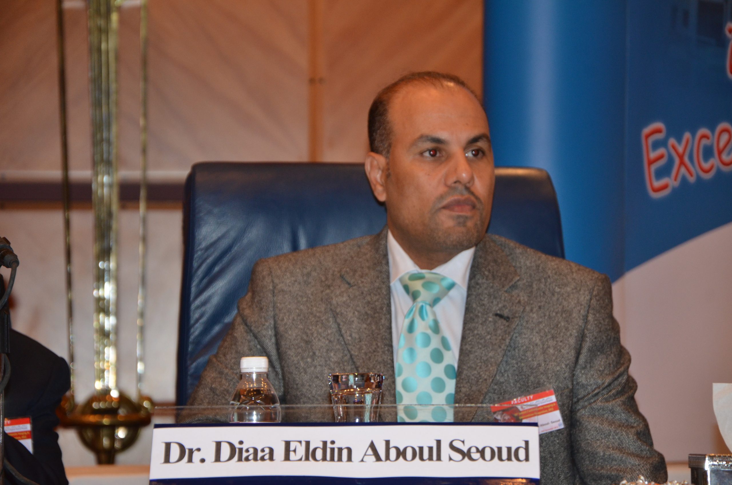 Diaa El-Din Aboul-Seoud