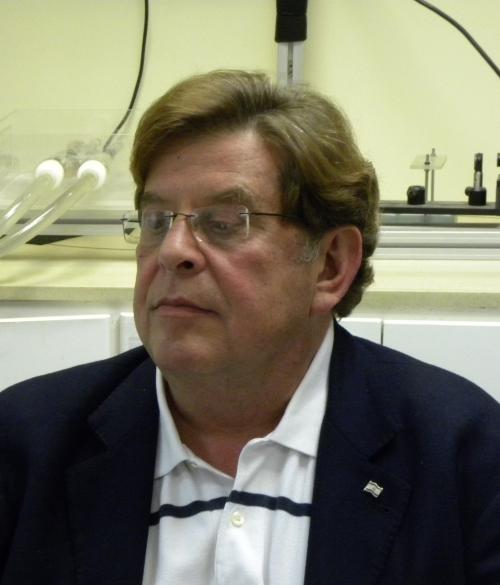 Dov Shimon