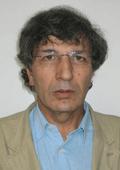 Abdulmajid Khalil