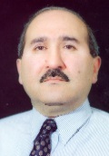 Seyed Mahmoud Nouraei