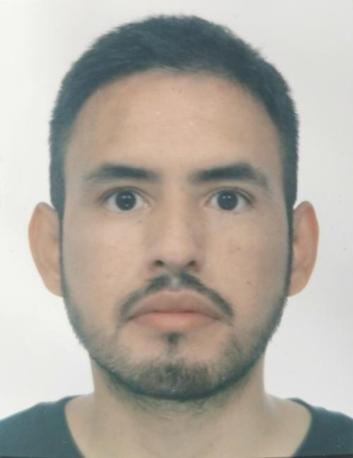 Gustavo Sobrino Avellaneda